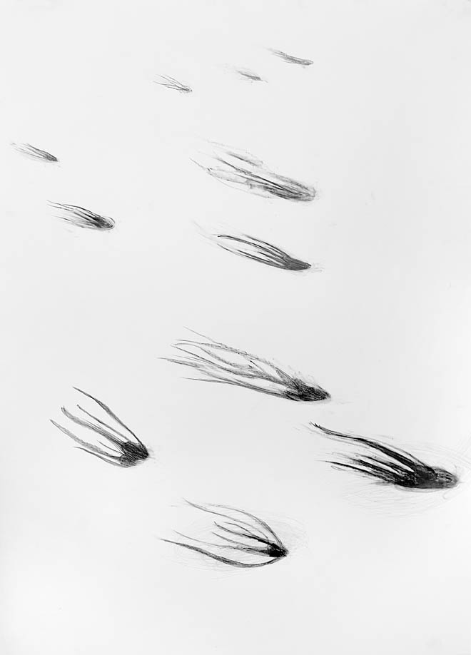 Memorial For The Unknown Iceberg